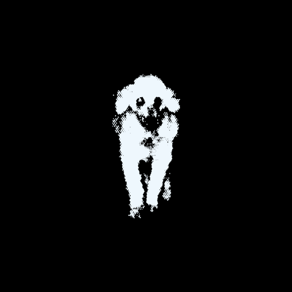 caniche